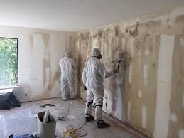 Best Industrial Mold Remediation  in Lakewood Ranch, FL